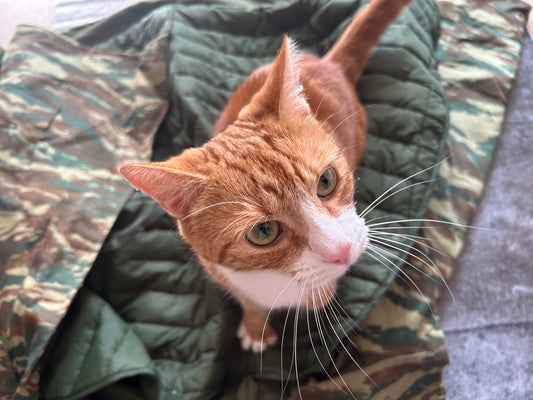 Greek Lizard Parka with Liner + Bonus Cat Pic