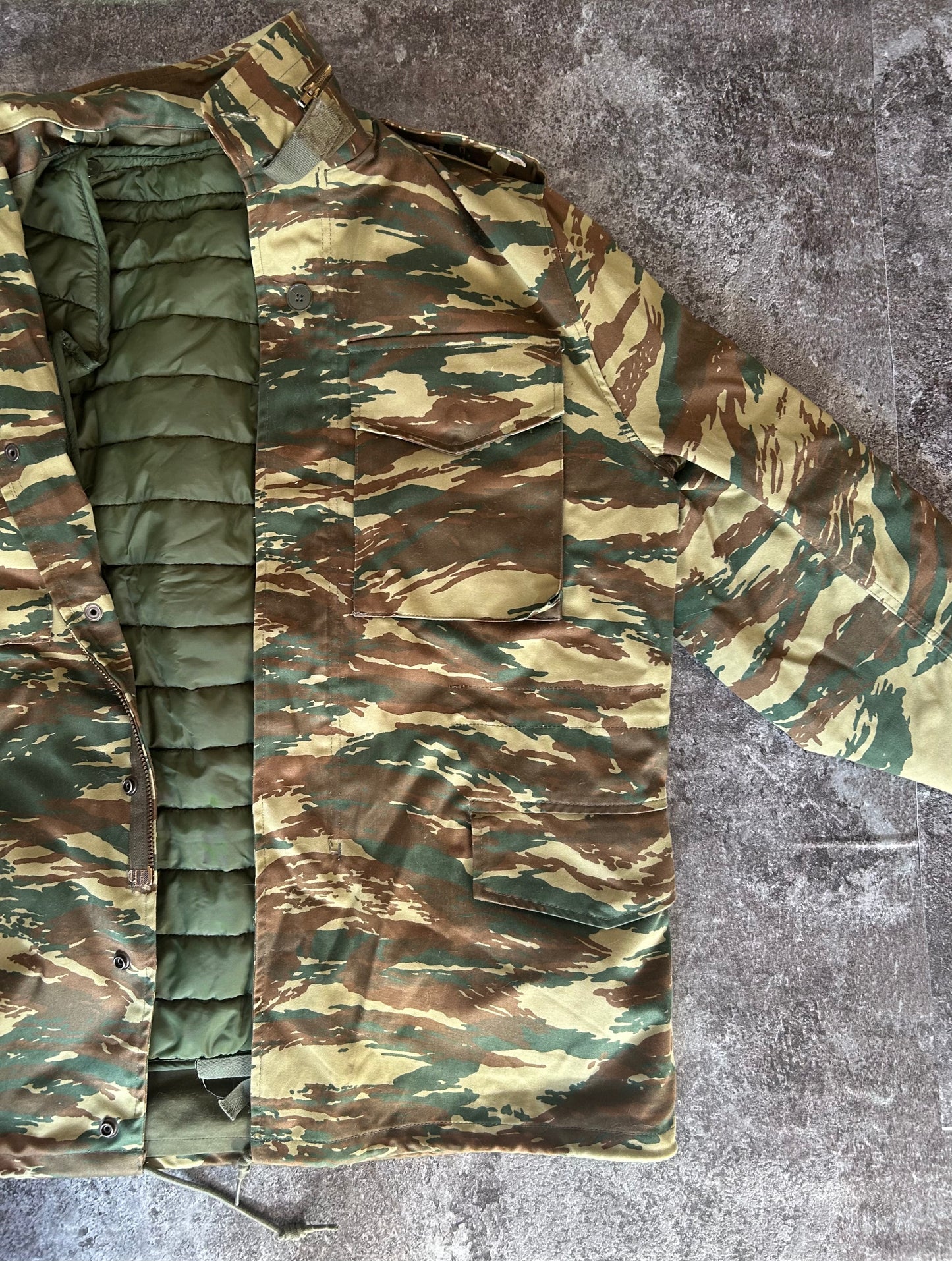 Greek Lizard Parka with Liner + Bonus Cat Pic