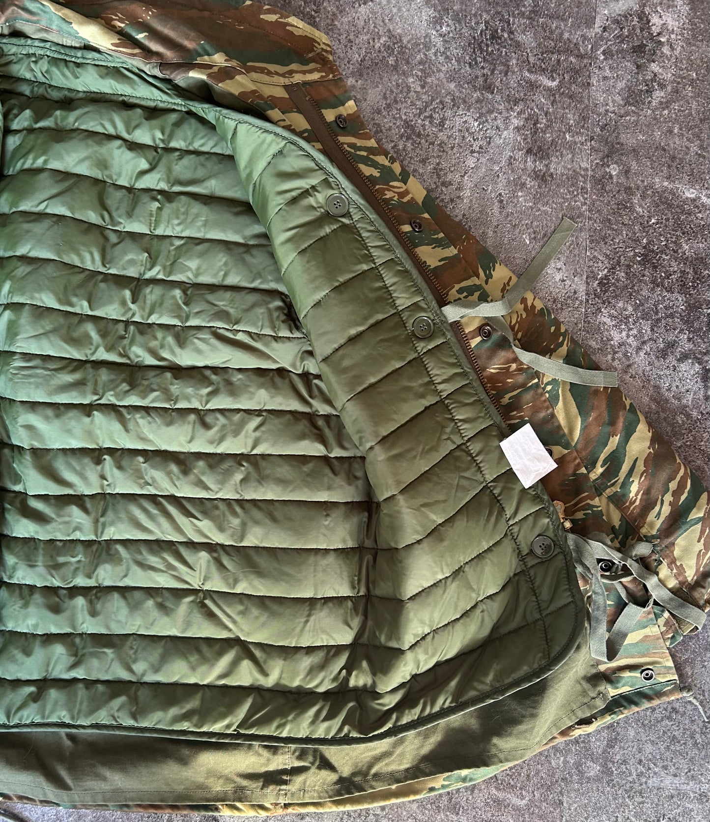Greek Lizard Parka with Liner + Bonus Cat Pic