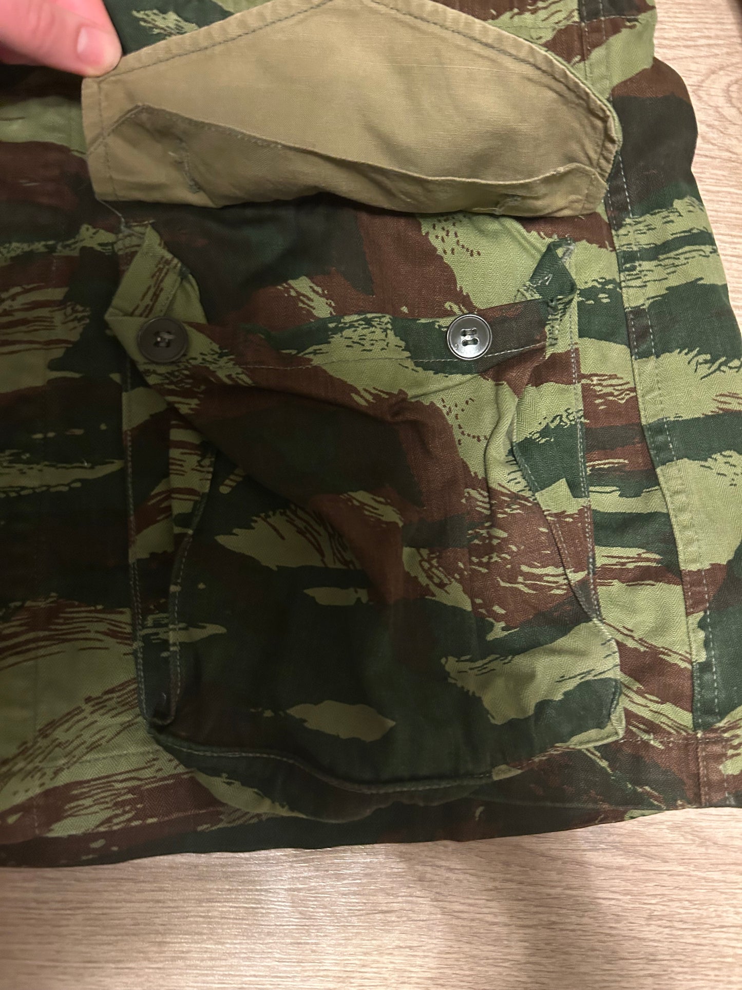 French Lizard Jacket